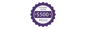 Missink sesiones banner