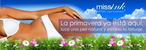 slide primavera missink